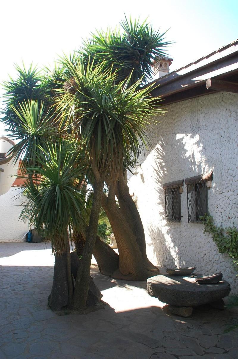 Sa Crannaccia Pension Càbras Buitenkant foto